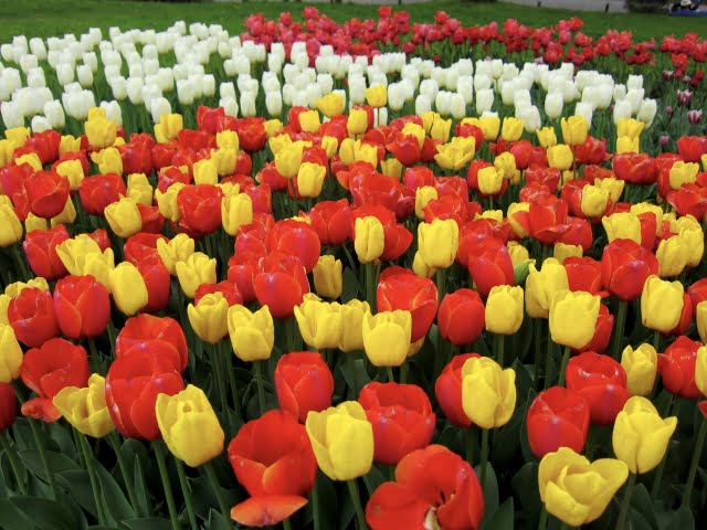 商品名がはいります