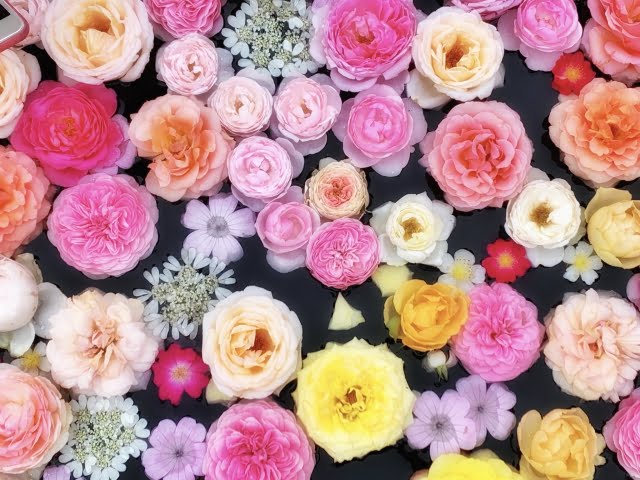 商品名がはいります