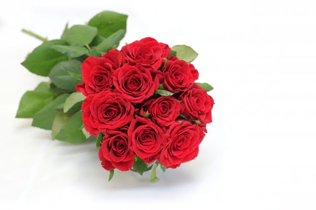 商品名がはいります