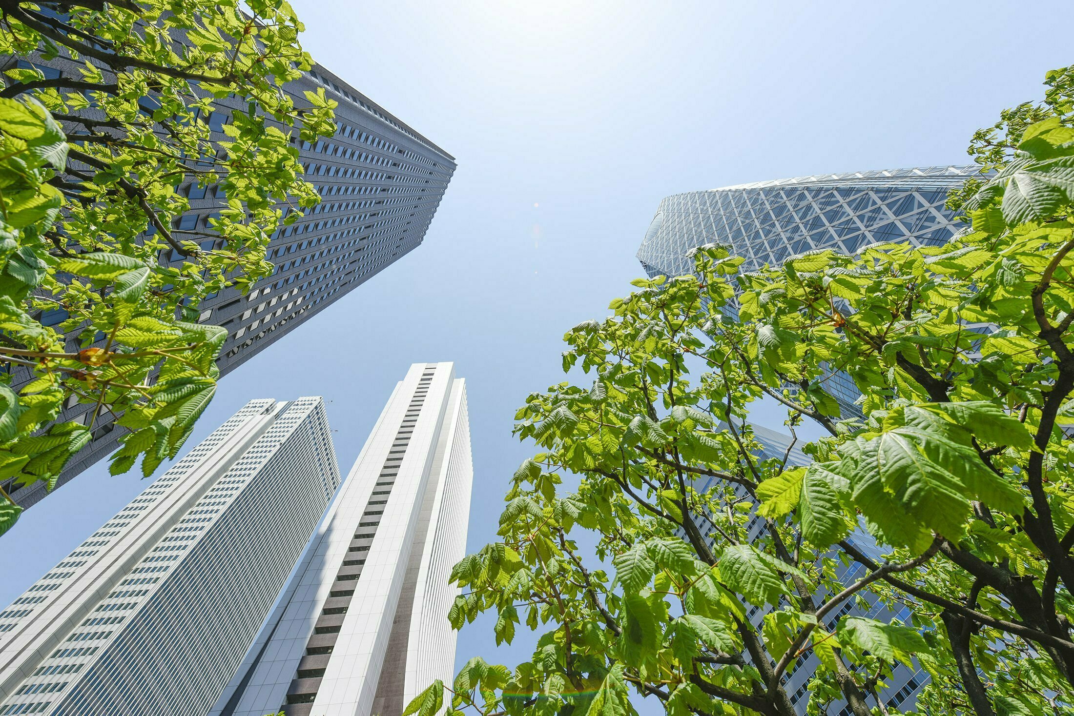 長いタイトル長いタイトル長いタイトル長いタイトル長いタイトル長いタイトル長いタイトル